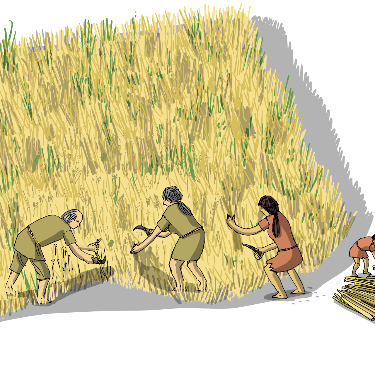 Illustration Ackerbau