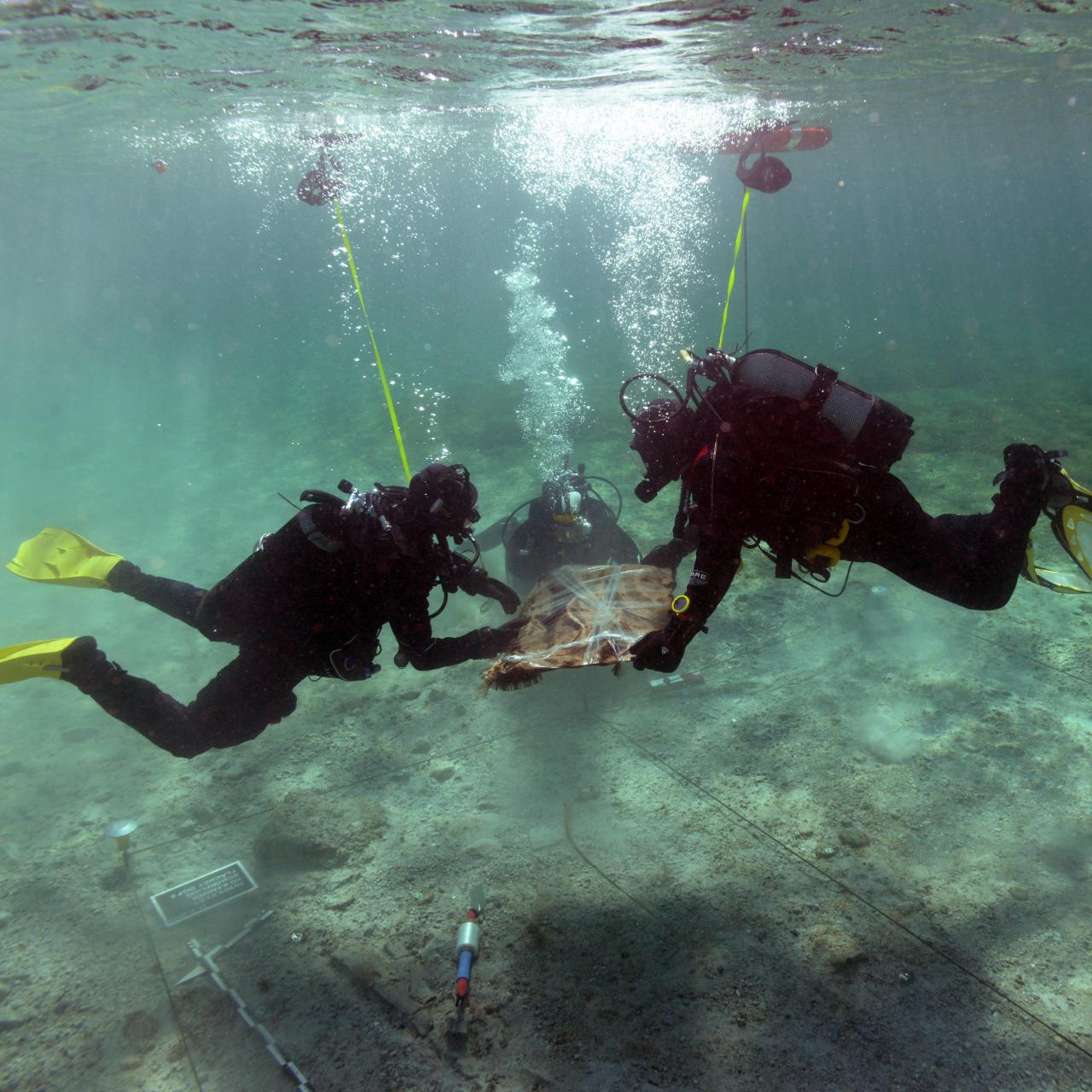Vorsichtig müssen die Tausende Jahre alten Hölzer aus dem Seeboden gehoben werden.