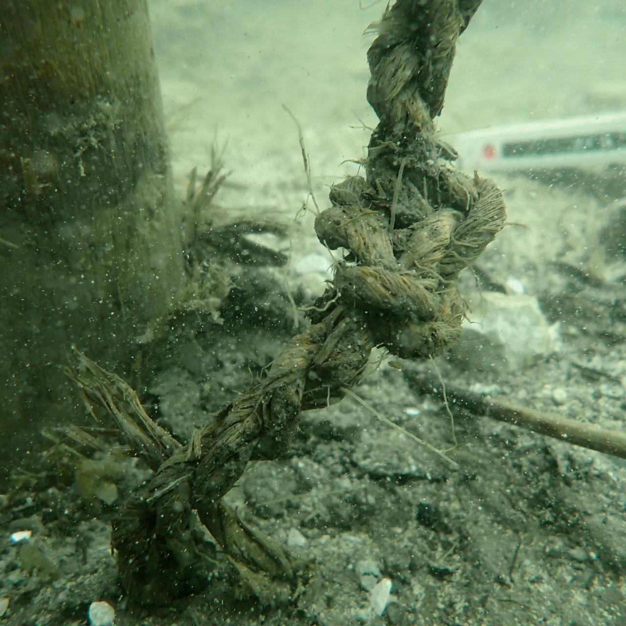 Ein Stück Bastschnur unter Wasser, in der sich ein Knoten befindet