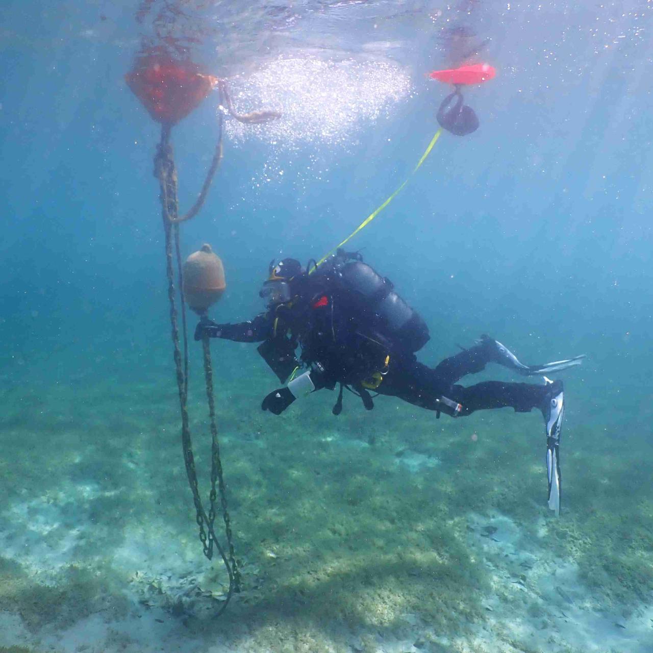 Monitoring Attersee 