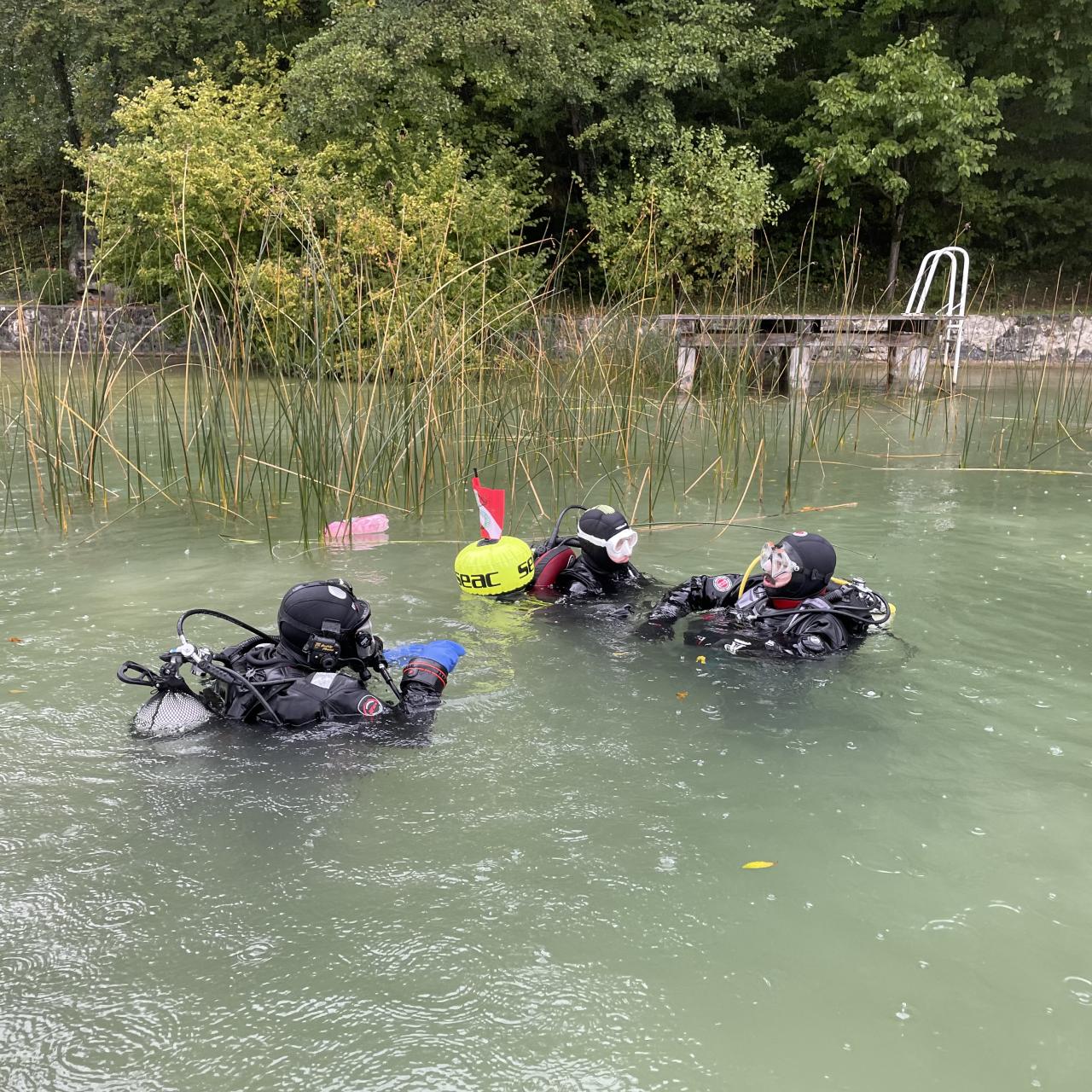 3 Taucher:Innen im seichten Wasser