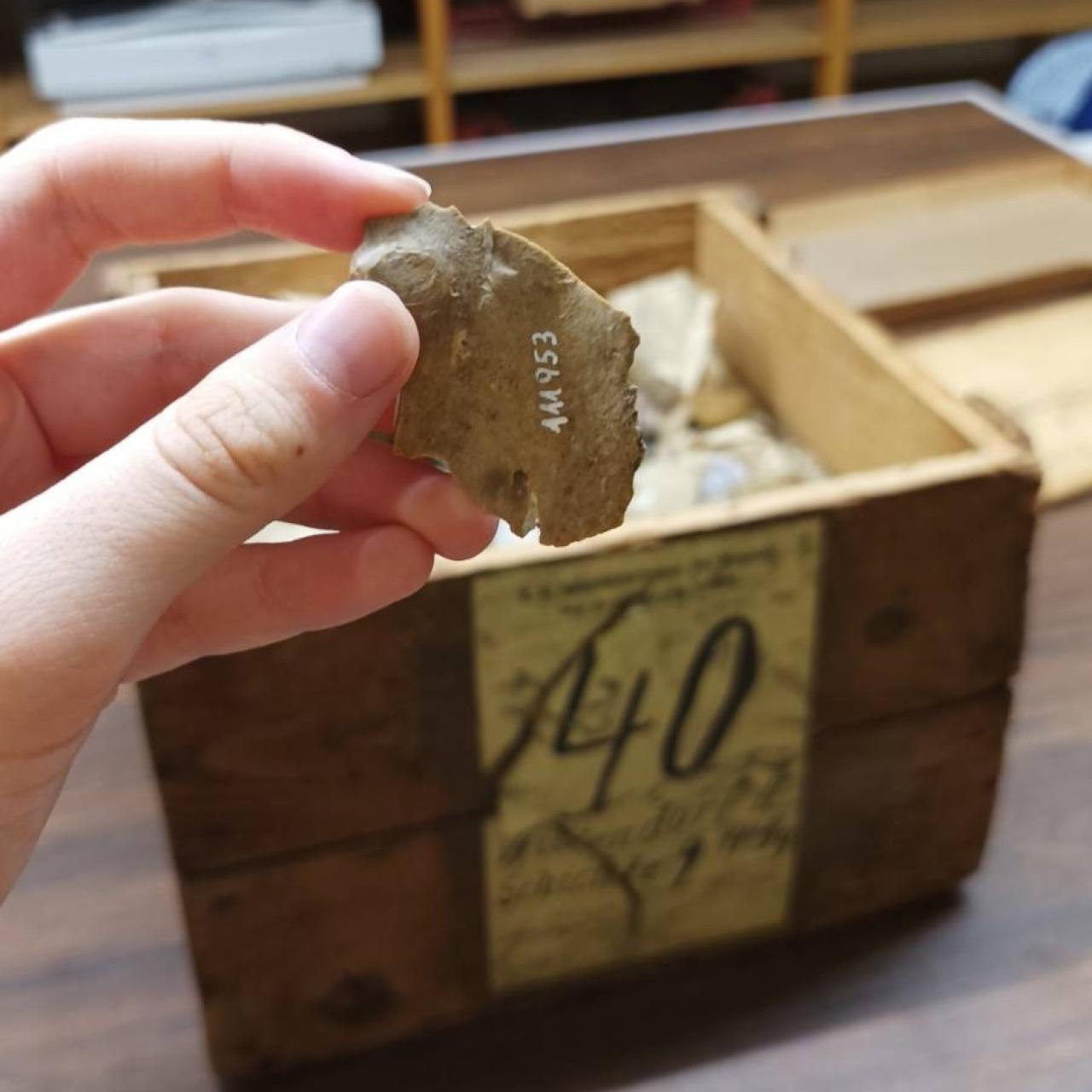 Ein Steinwerkzeug vor der geöffneten Kiste Nummer 40