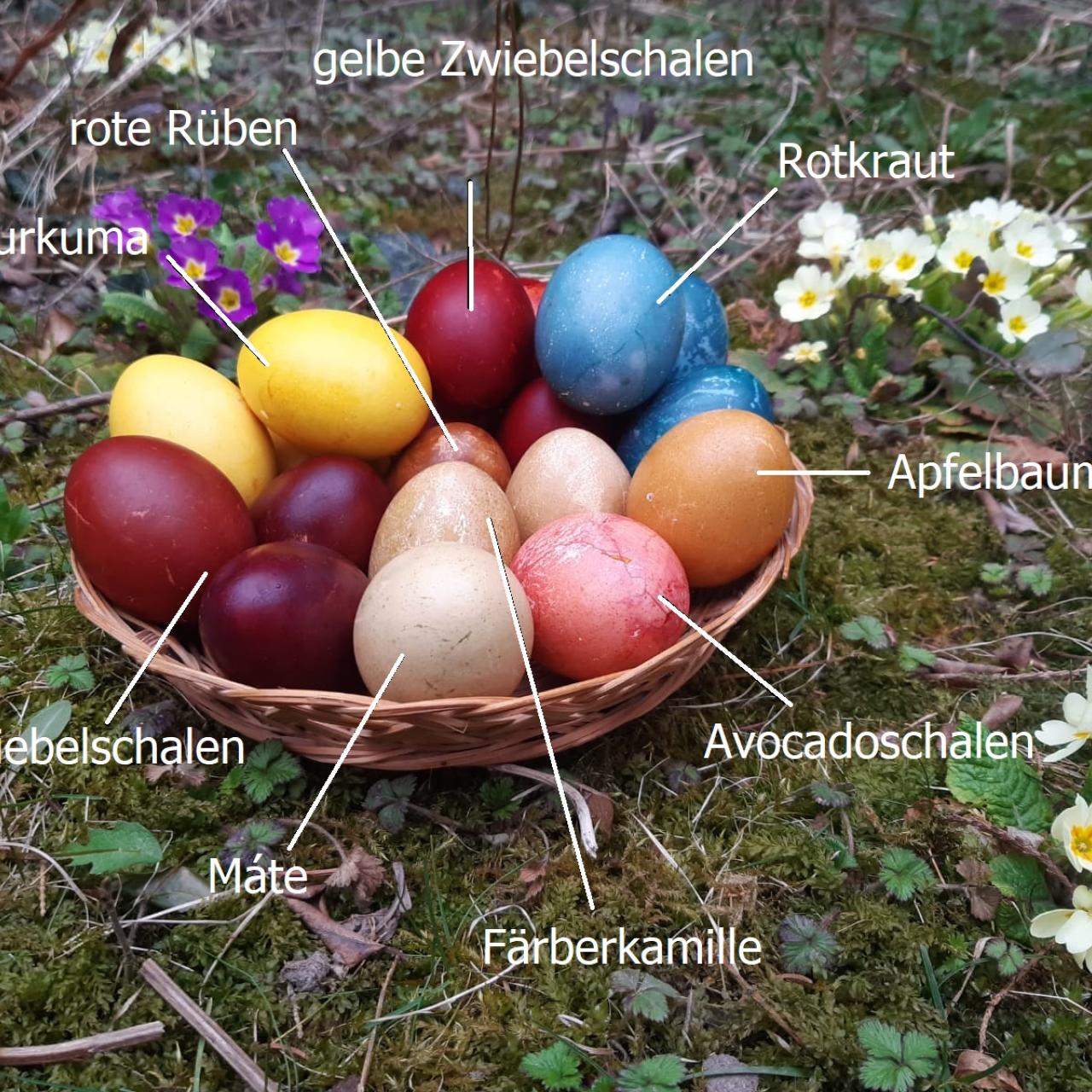 Verschiedene, bunte Eier, die mit Naturmaterial gefärbt wurden in einem Körbchen