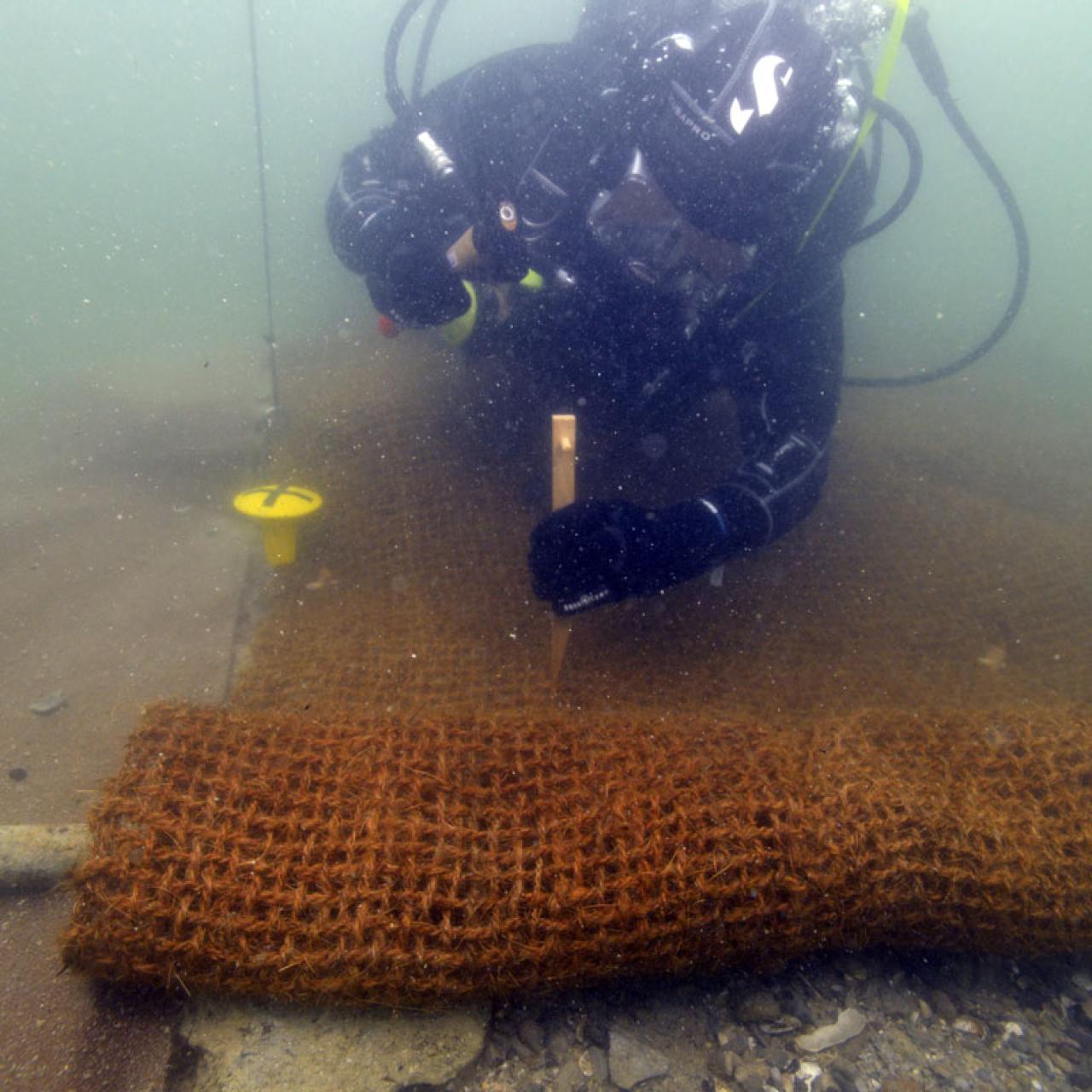 Ein Taucher unter Wasser beim Verlegen eines Kokosnetzes
