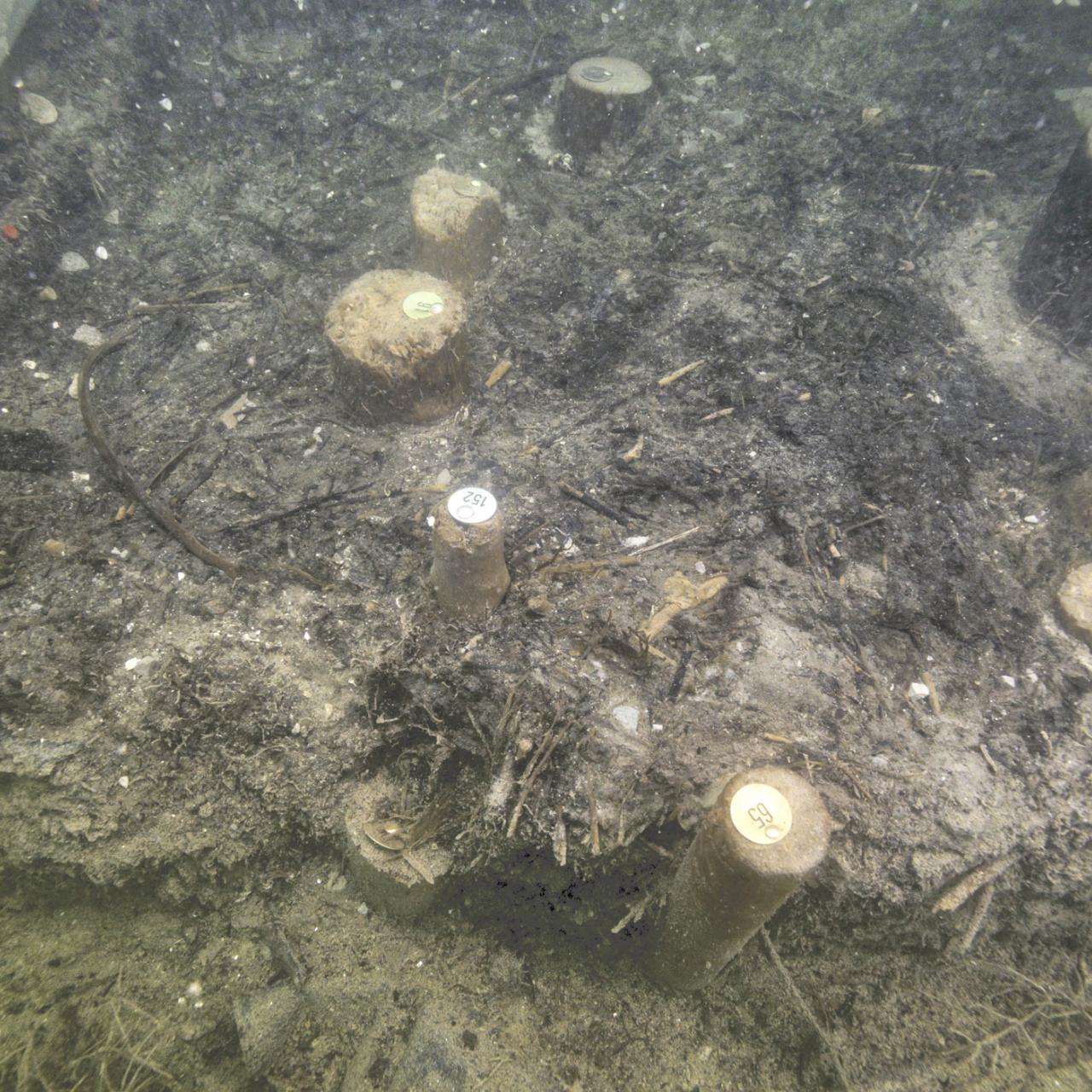 Ansicht unter Wasser von einer Kulturschicht