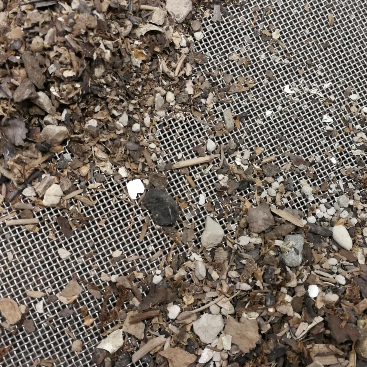 Ein Sieb mit gefriergetrocknetem Sediment
