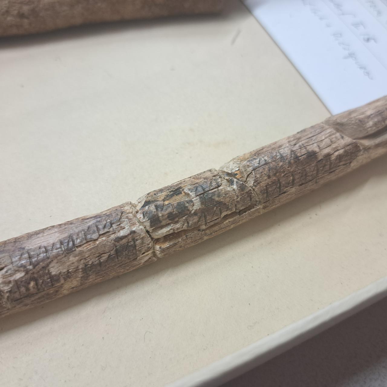 Elfenbeinstab mit Ritzungen