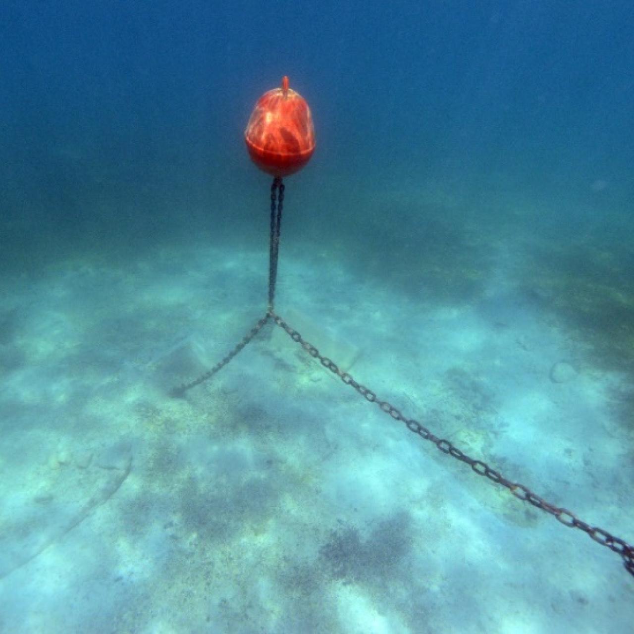 Eine Unterwasser-Boje im Attersee