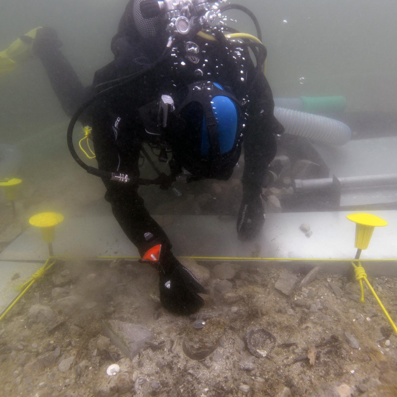 Eine Taucherin unter Wasser beim Freilegen von Befunden am Seegrund