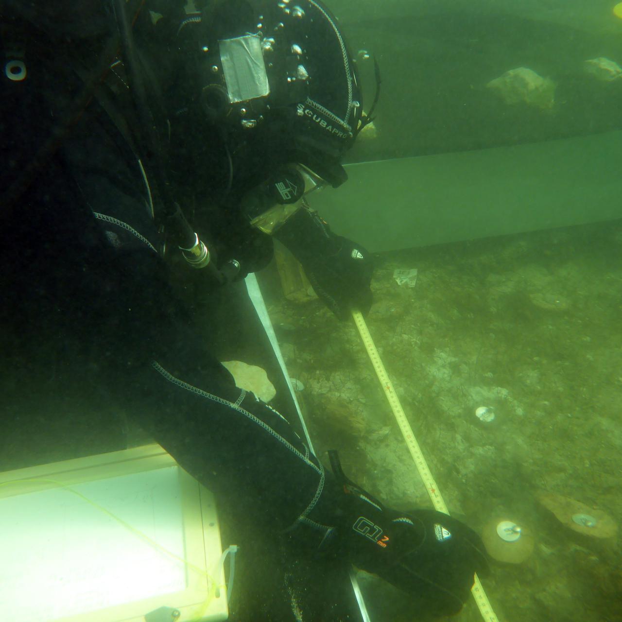 Ein Taucher am Unterwasser-Grabungsschnitt beim Vermessen mit dem Maßstab