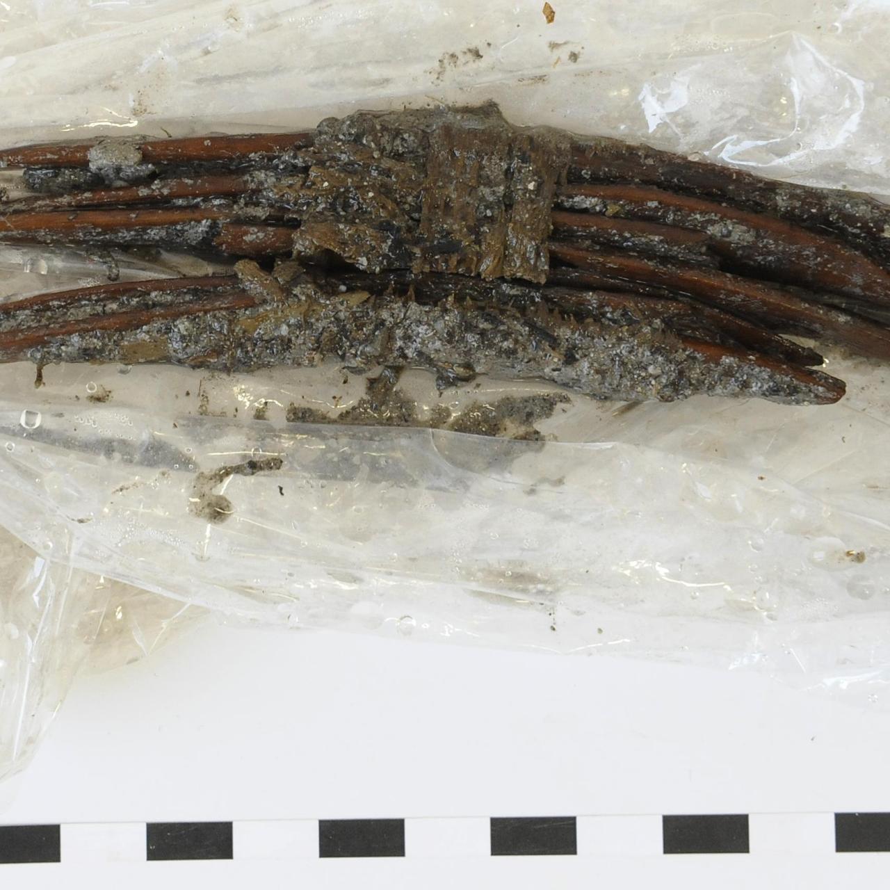 Grabungsfrische Hechel aus angespitzten Rippen