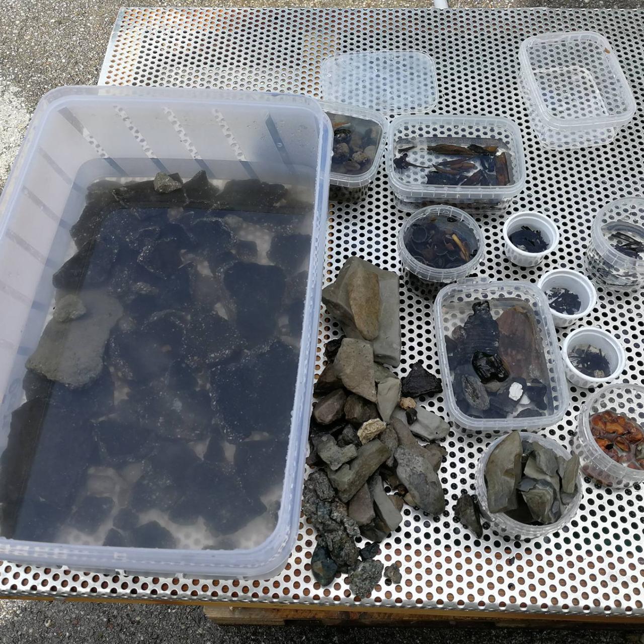 Fundmaterial in kleinen Plastikbehältnissen sortiert