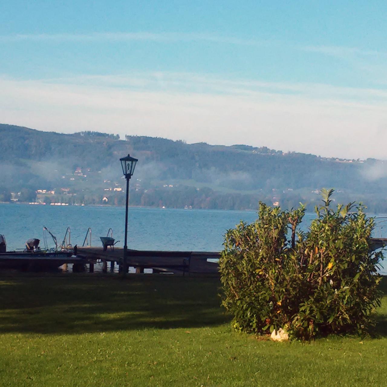 Eine Wiese mit einem Steg direkt am See, in der Ferne ist das Forschungsboot erkennbar
