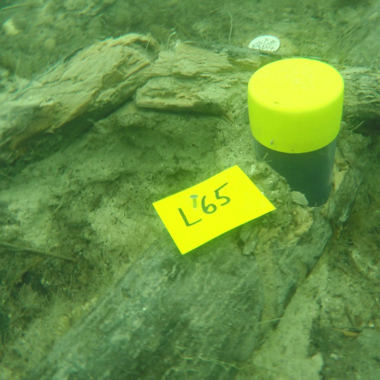 Liegende Hölzer am Seegrund mit gelben Markierungen 