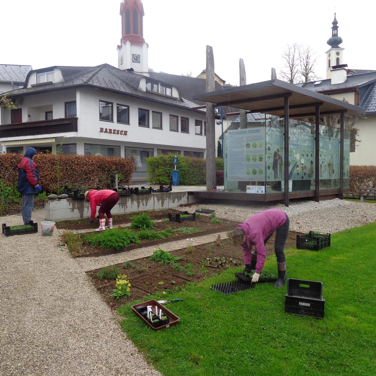 Mehrere Personen bei der Arbeit an den Beeten vor dem Pfahlbaupavillon