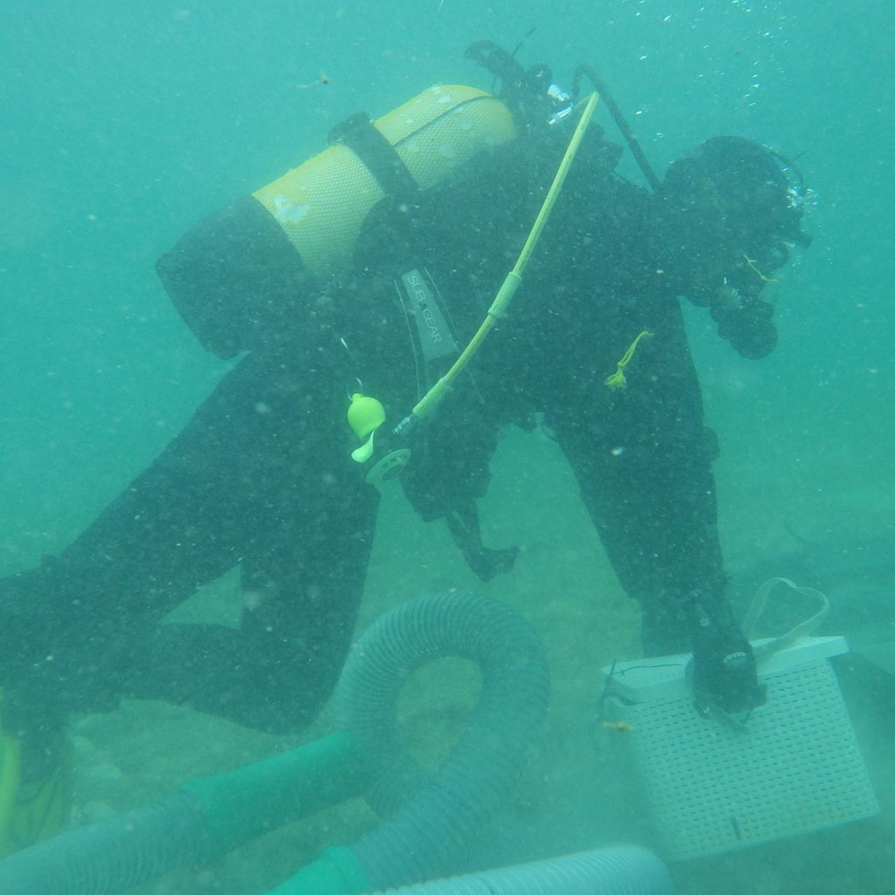 Eine Taucherin im Wasser, beim Tragen einer Plastikbox