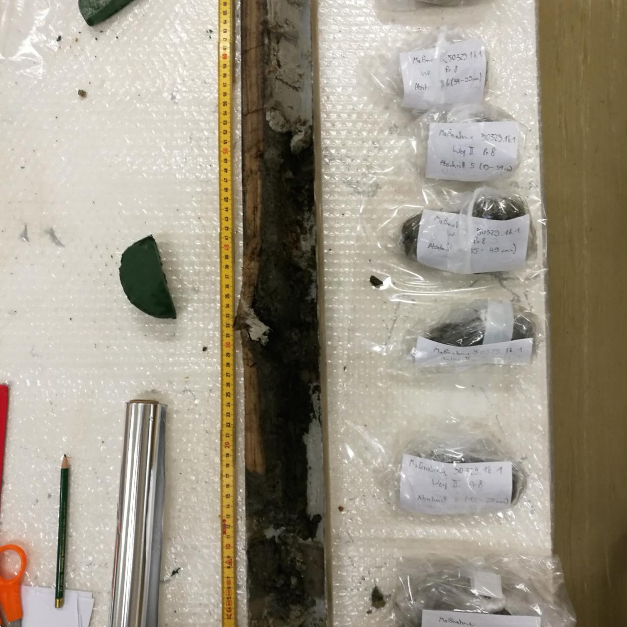 der geöffnete Bohrkern mit den Proben in Säckchen verpackt und beschriftet