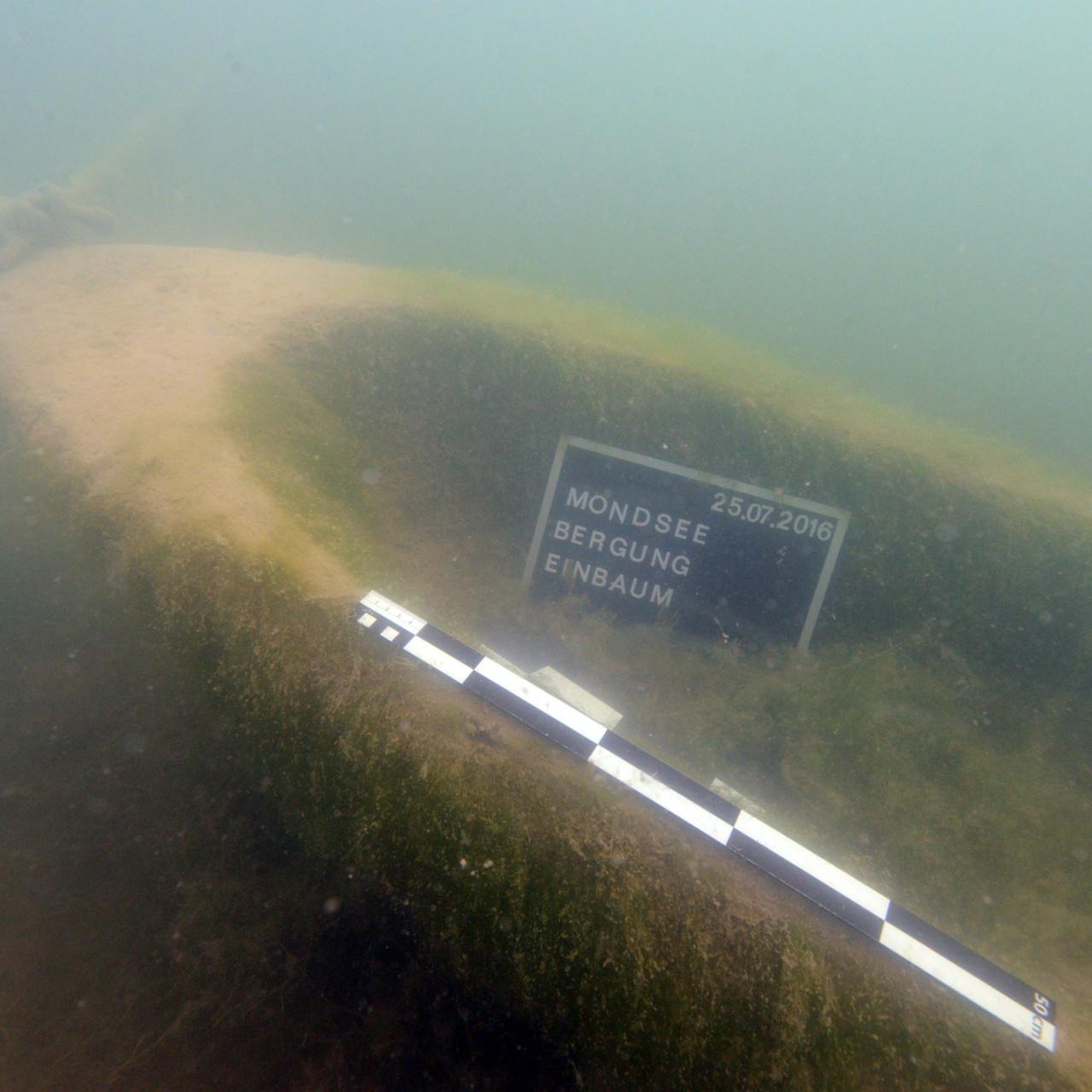 Der Bug des Einbaums unter Wasser, mit Fototafel und Maßstab