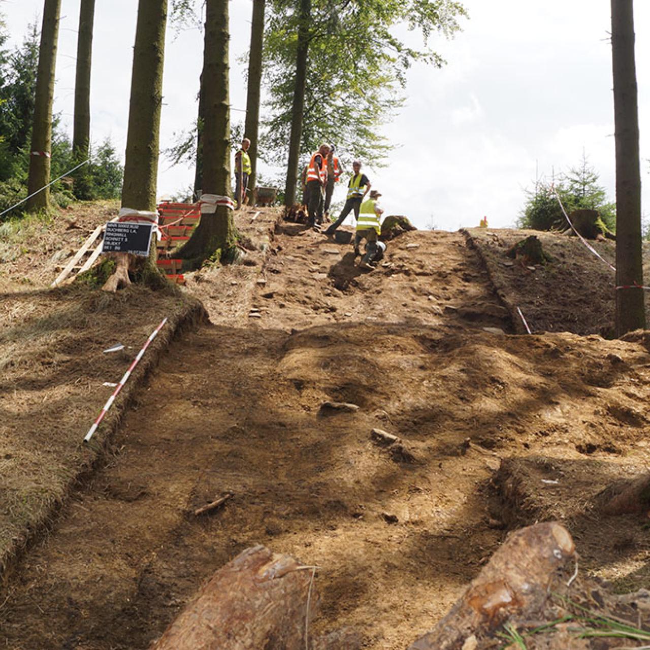 Ein langer Grabungsschnitt im Wald