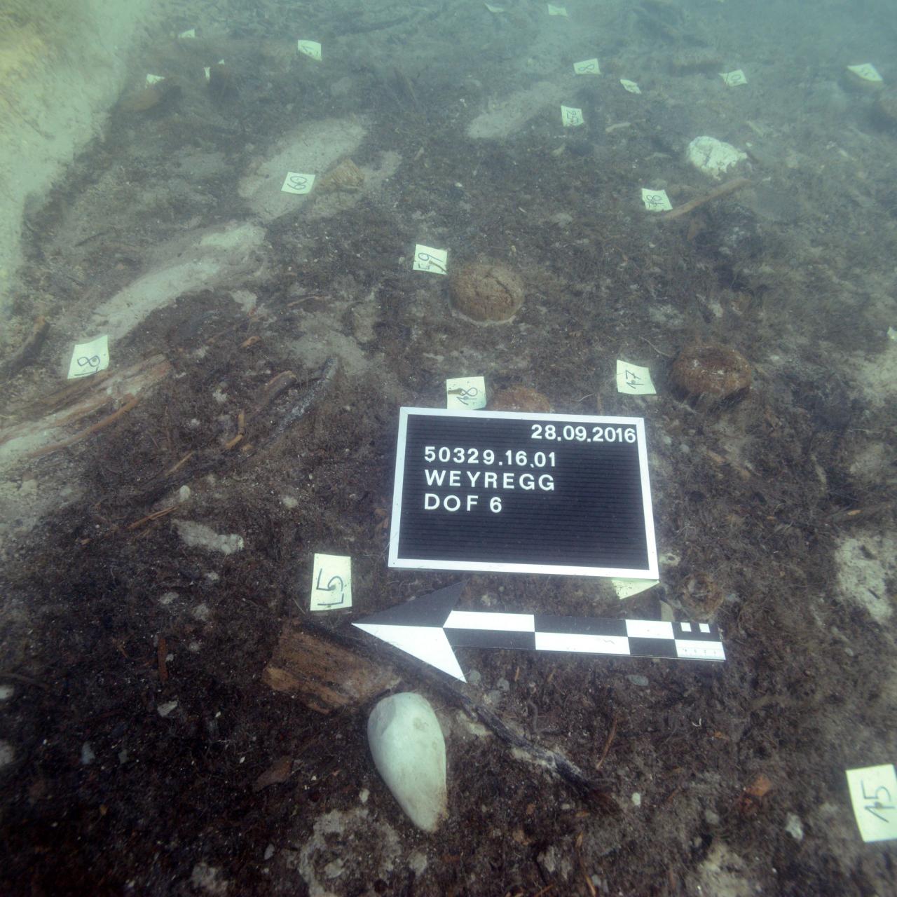 Der Unterwasserschnitt mit Markierungen, Fototafel und Maßstab