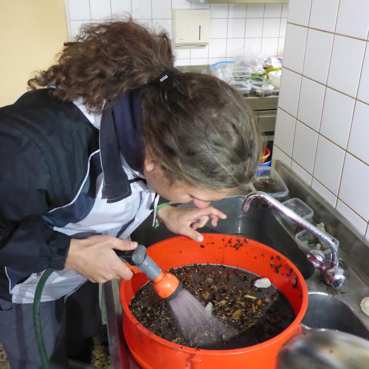 Marco gebeugt über einem roten Sieb mit einer Wasserdusche in der Hand