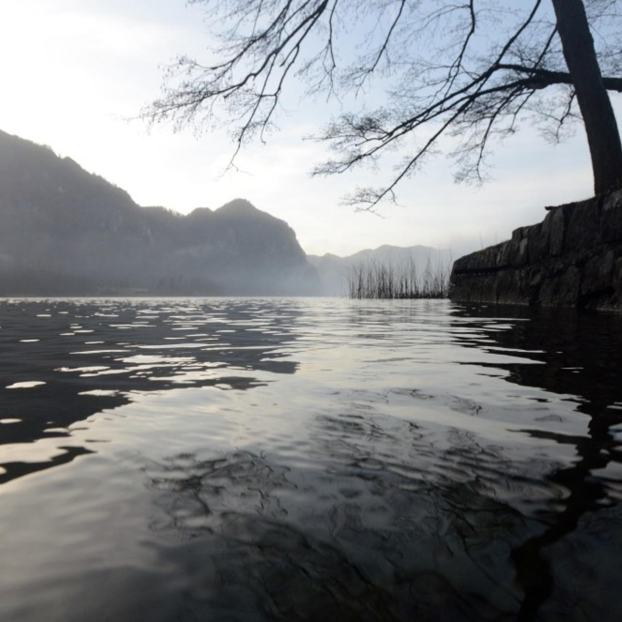 Der Mondsee in der Abendsonne