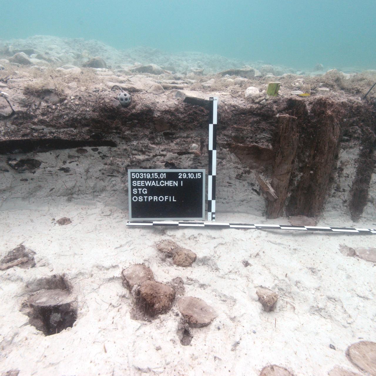 Das Ostprofil der Sprungturmgrube mit Maßstab und Fototafel
