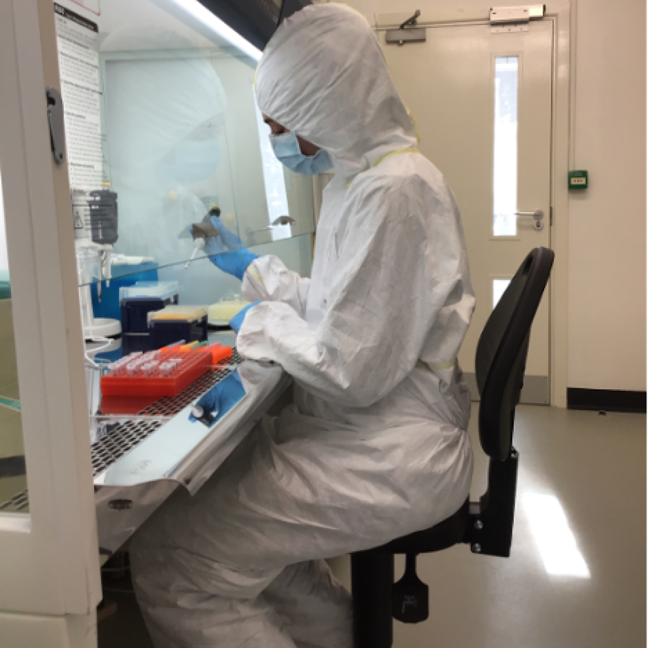 Amy trägt einen Ganzkörperanzug im Reinraum für alte DNA an der Universität York.