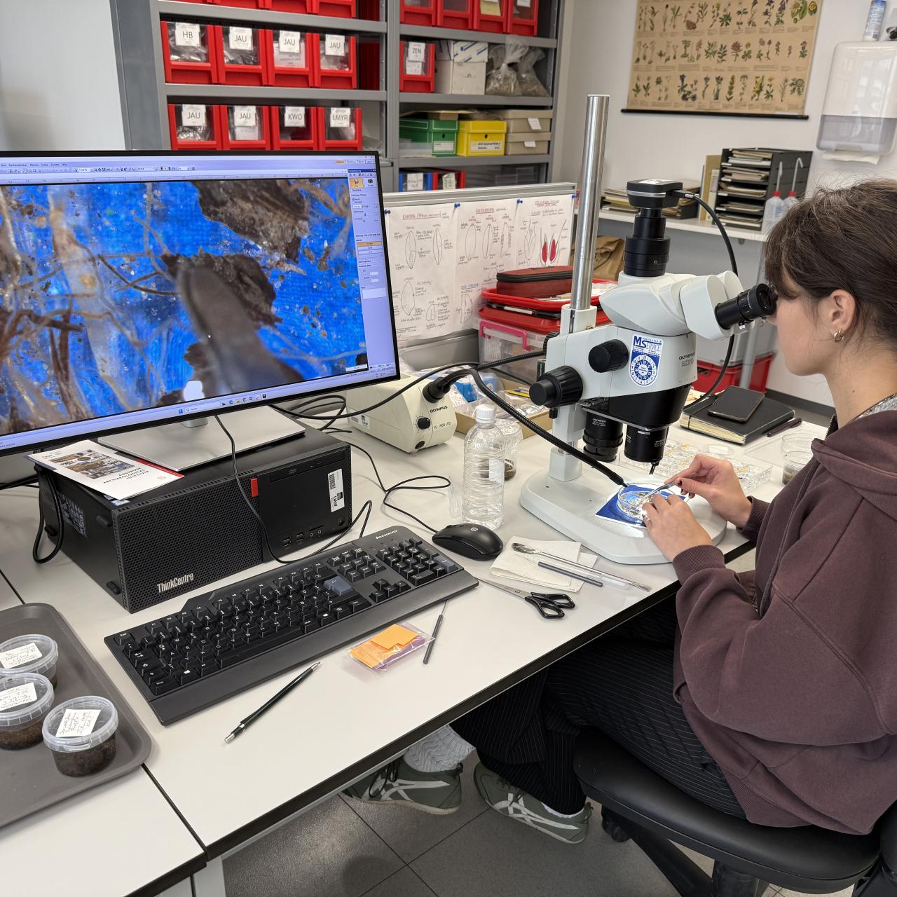 Ambra bei der Arbeit im Labor