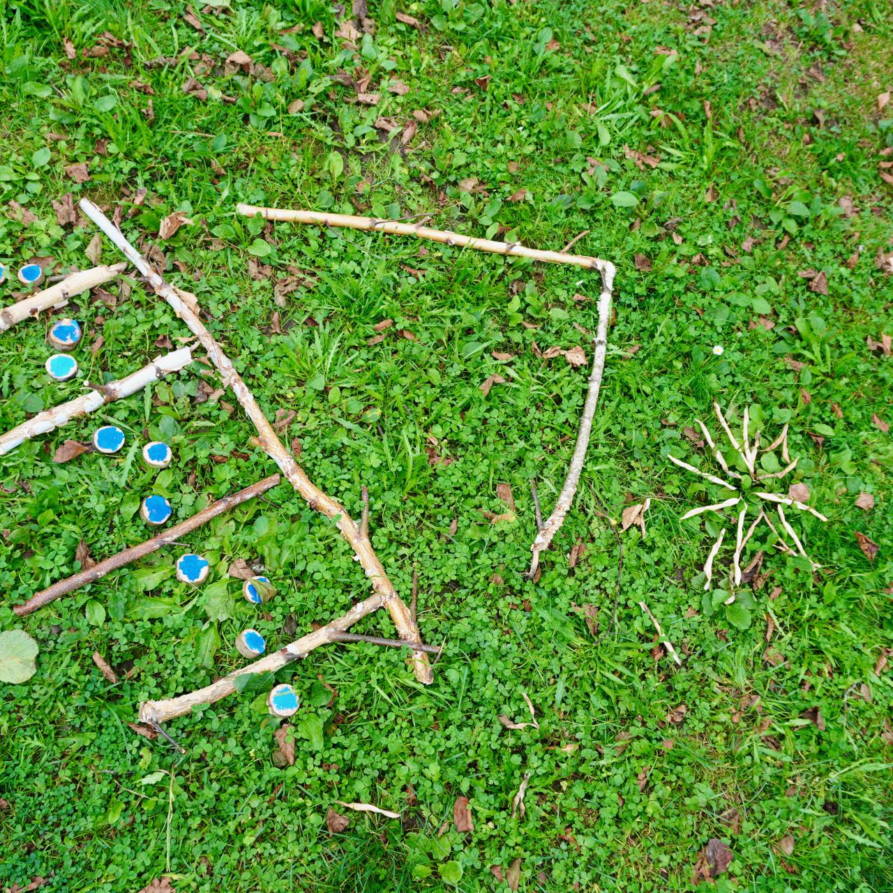 Logo Palafittes Natur
